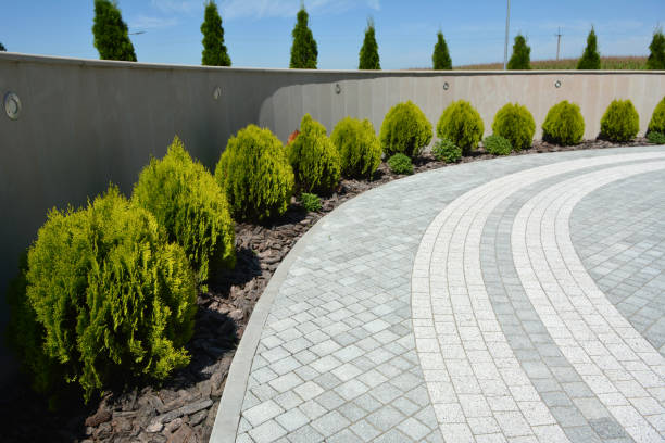 Best Decorative Driveway Pavers  in Cape May, NJ